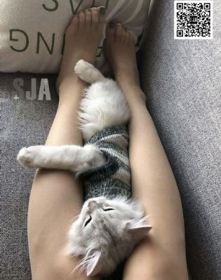 漂亮的朋友68_1080在线观看电视