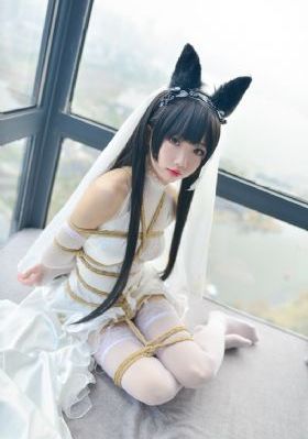 40集狂飙免费看全集_免费手机观看